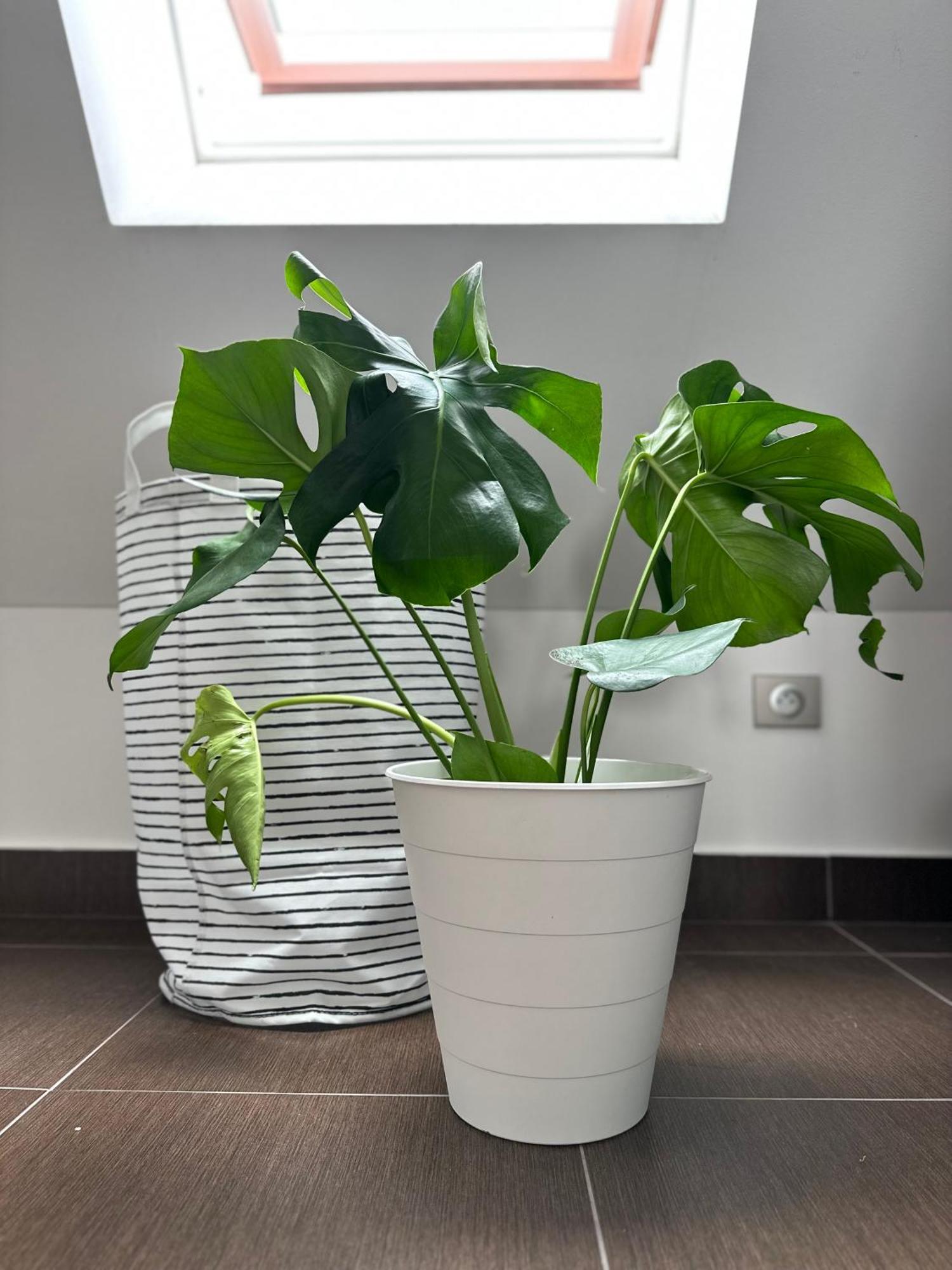 Urban Zenhouse No.2 - Breakfast Included Apartment Bratislava Exterior foto